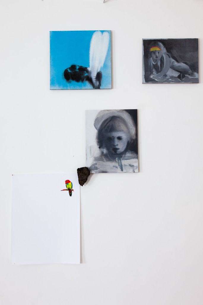 Thierry Costesèque, Western, 2015, vue d'exposition 2, © courtesy galerie Eric Dupont, Paris