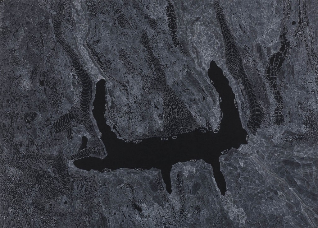 Clement Bagot, Reixel_Encre blanche sur papier noir, 50 x 70 cm © courtesy galerie Eva Hober