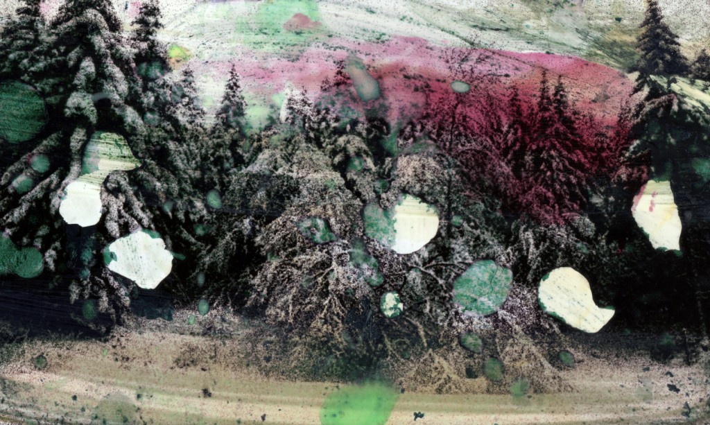 Recovery Landscape 5, 2015, Jet d’encre pigmentée sur papier Hanenmühle, 67 x 105 cm, courtesy Bernard Zürcher