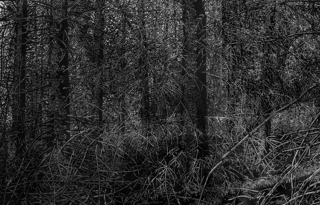 Agathe May «La forêt» (détail), 2016 | xylographie en noir et blanc sur papier Japon | 122 x 244 cm Courtesy l’artsite - Galerie Catherine Putman